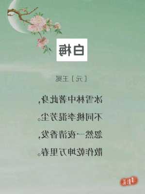 王冕的白梅是什么意思