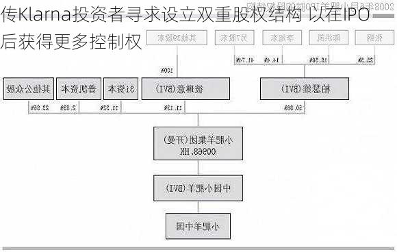 传Klarna投资者寻求设立双重股权结构 以在IPO后获得更多控制权