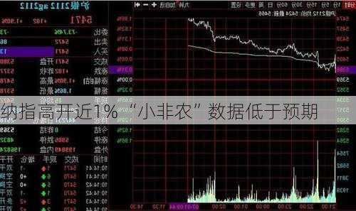 纳指高开近1% “小非农”数据低于预期