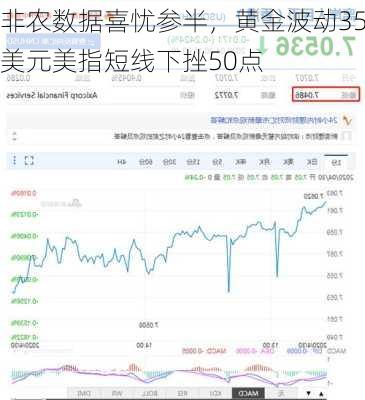 非农数据喜忧参半，黄金波动35美元美指短线下挫50点