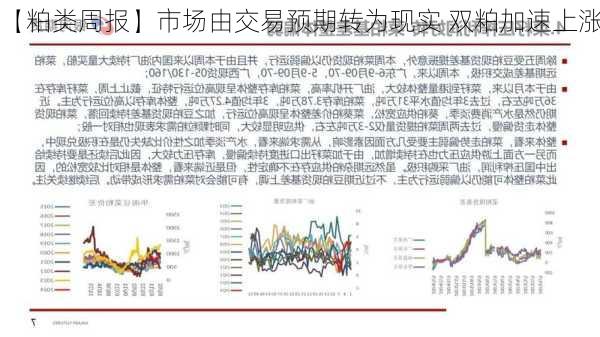 【粕类周报】市场由交易预期转为现实 双粕加速上涨