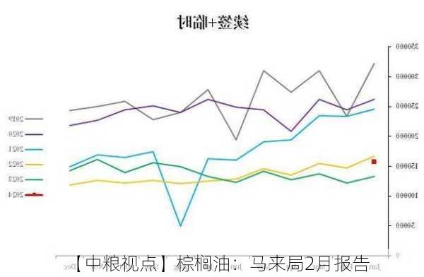 【中粮视点】棕榈油：马来局2月报告