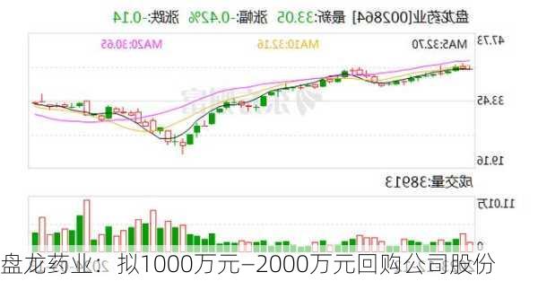 盘龙药业：拟1000万元—2000万元回购公司股份