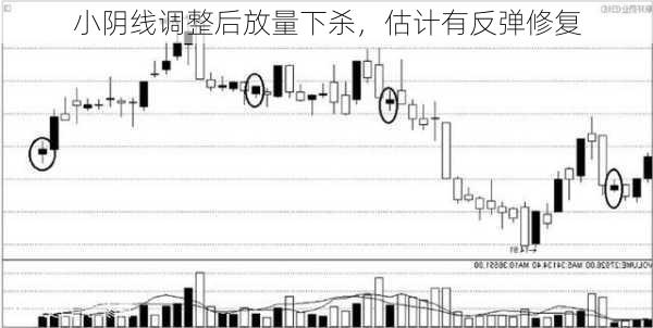 小阴线调整后放量下杀，估计有反弹修复