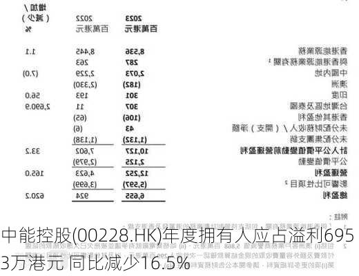 中能控股(00228.HK)年度拥有人应占溢利6953万港元 同比减少16.5%