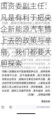 国资委副主任：凡是有利于把央企新能源汽车搞上去的政策与举措，我们都要大胆探索