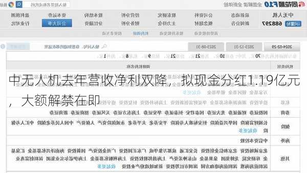 中无人机去年营收净利双降，拟现金分红1.19亿元，大额解禁在即