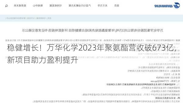 稳健增长！万华化学2023年聚氨酯营收破673亿，新项目助力盈利提升