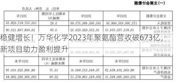 稳健增长！万华化学2023年聚氨酯营收破673亿，新项目助力盈利提升