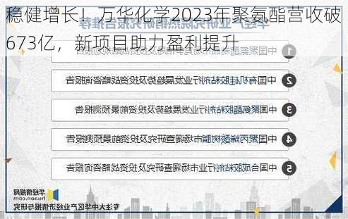 稳健增长！万华化学2023年聚氨酯营收破673亿，新项目助力盈利提升