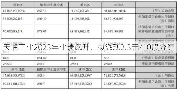 天润工业2023年业绩飙升，拟派现2.3元/10股分红