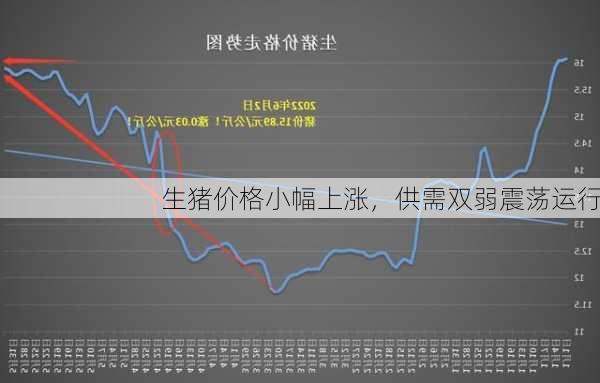 生猪价格小幅上涨，供需双弱震荡运行