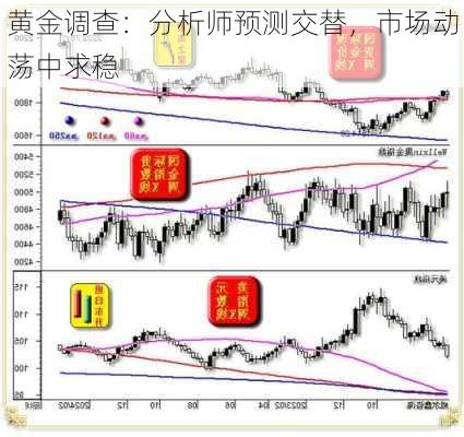 黄金调查：分析师预测交替，市场动荡中求稳