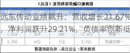 远东传动业绩飙升：营收增长21.67%，净利润跃升29.21%，负债率创新低！