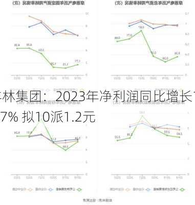 丰林集团：2023年净利润同比增长15.27% 拟10派1.2元