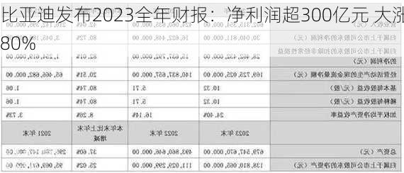 比亚迪发布2023全年财报：净利润超300亿元 大涨80%