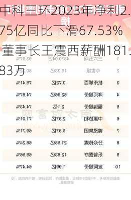 中科三环2023年净利2.75亿同比下滑67.53% 董事长王震西薪酬181.83万