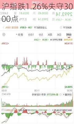 沪指跌1.26%失守3000点