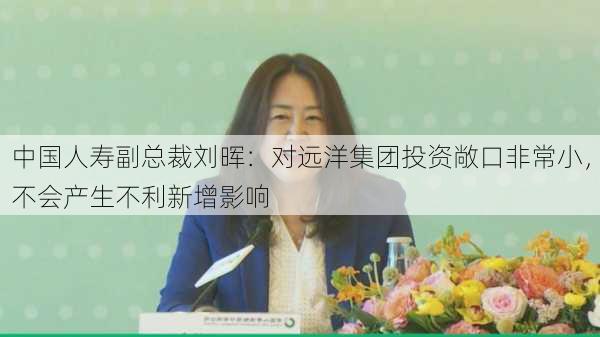 中国人寿副总裁刘晖：对远洋集团投资敞口非常小，不会产生不利新增影响
