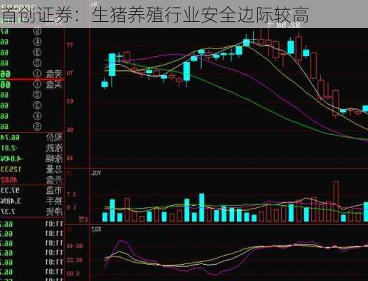 首创证券：生猪养殖行业安全边际较高