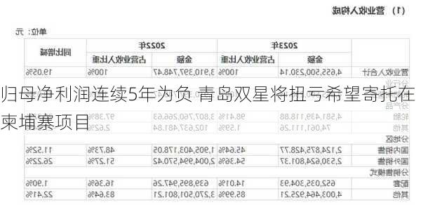 归母净利润连续5年为负 青岛双星将扭亏希望寄托在柬埔寨项目