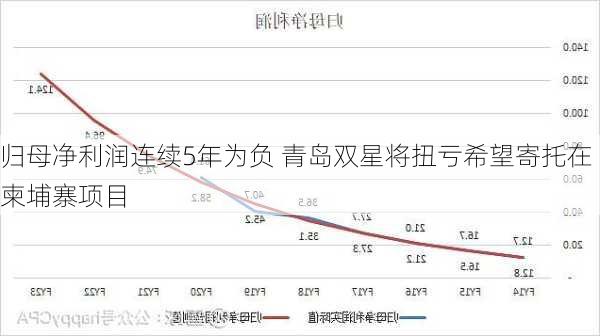 归母净利润连续5年为负 青岛双星将扭亏希望寄托在柬埔寨项目