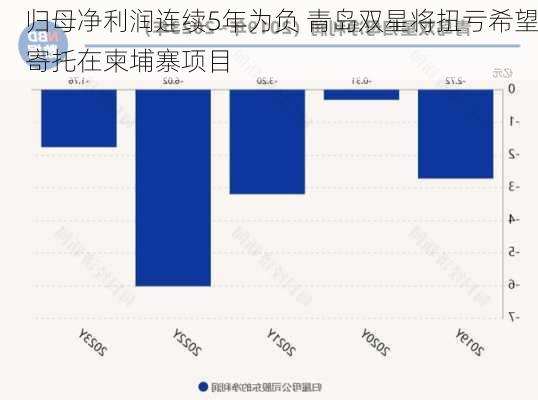 归母净利润连续5年为负 青岛双星将扭亏希望寄托在柬埔寨项目