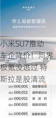 小米SU7推动车企降价！问界极氪没逃过 特斯拉是股清流