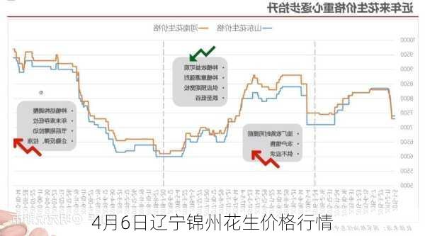 4月6日辽宁锦州花生价格行情