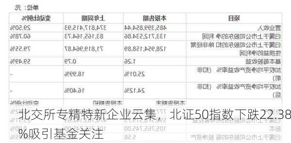 北交所专精特新企业云集，北证50指数下跌22.38%吸引基金关注