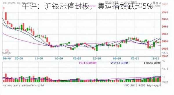 午评：沪银涨停封板，集运指数跌超5%