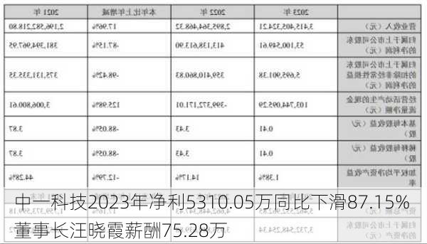 中一科技2023年净利5310.05万同比下滑87.15% 董事长汪晓霞薪酬75.28万