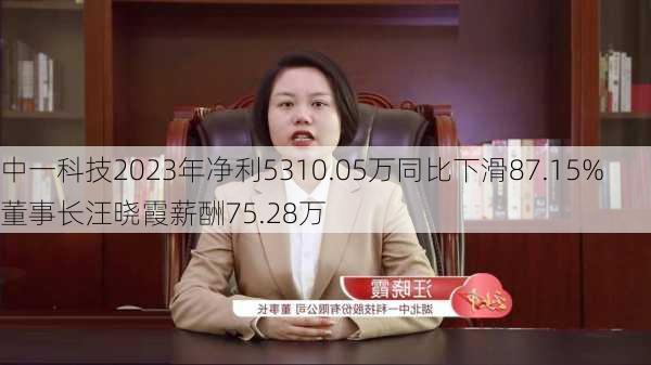 中一科技2023年净利5310.05万同比下滑87.15% 董事长汪晓霞薪酬75.28万