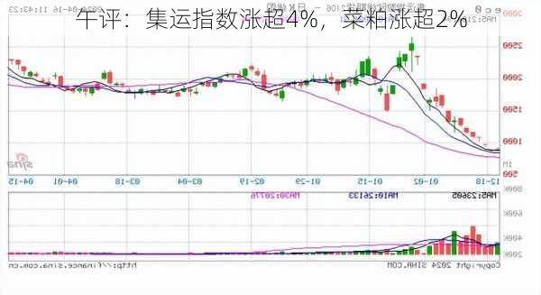 午评：集运指数涨超4%，菜粕涨超2%