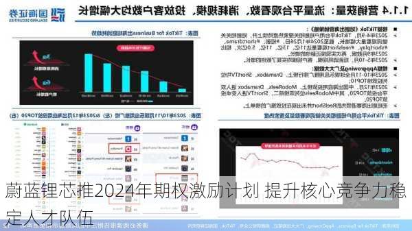 蔚蓝锂芯推2024年期权激励计划 提升核心竞争力稳定人才队伍