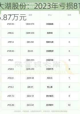 大湖股份：2023年亏损815.87万元