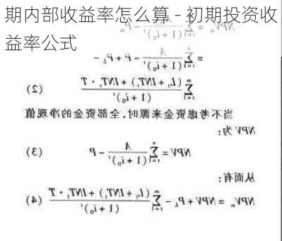 期内部收益率怎么算 - 初期投资收益率公式