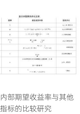 内部期望收益率与其他指标的比较研究