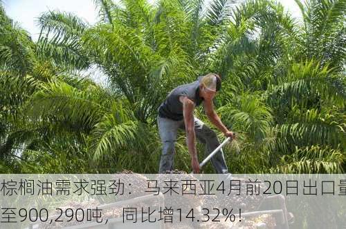 棕榈油需求强劲：马来西亚4月前20日出口量飙升至900,290吨，同比增14.32%！