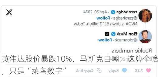 英伟达股价暴跌10%，马斯克自嘲：这算个啥，只是“菜鸟数字”