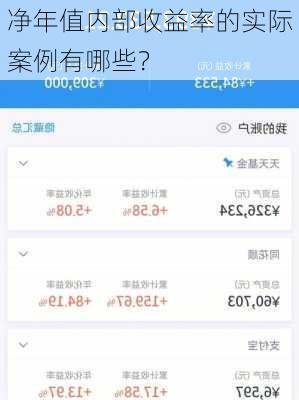 净年值内部收益率的实际案例有哪些？