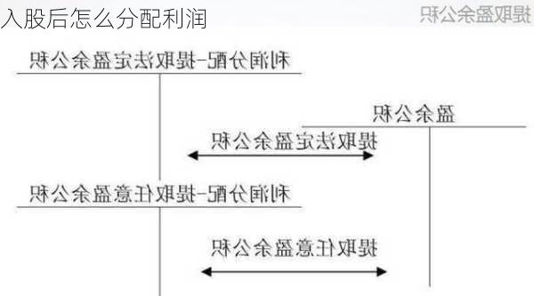 入股后怎么分配利润