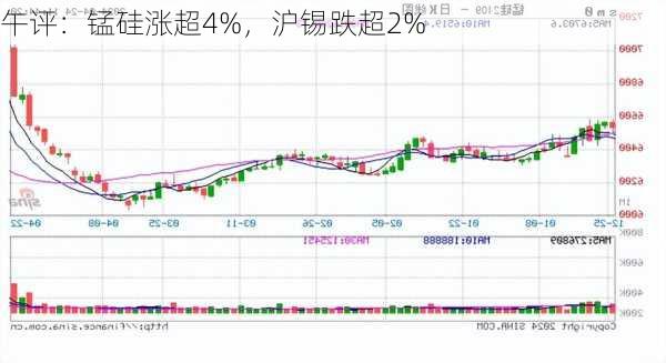 午评：锰硅涨超4%，沪锡跌超2%