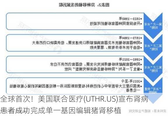 全球首次！美国联合医疗(UTHR.US)宣布肾病患者成功完成单一基因编辑猪肾移植