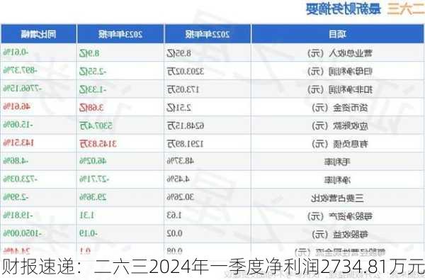 财报速递：二六三2024年一季度净利润2734.81万元