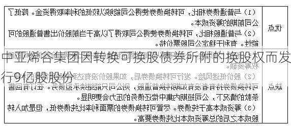 中亚烯谷集团因转换可换股债券所附的换股权而发行9亿股股份