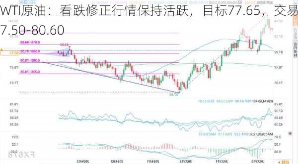 WTI原油：看跌修正行情保持活跃，目标77.65，交易区间77.50-80.60