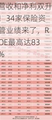 营收和净利双升！34家保险资管业绩来了，ROE最高达83%