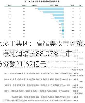 毛戈平集团：高端美妆市场第八，净利润增长88.07%，市场份额21.62亿元