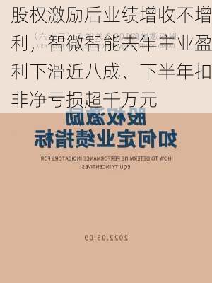 股权激励后业绩增收不增利，智微智能去年主业盈利下滑近八成、下半年扣非净亏损超千万元